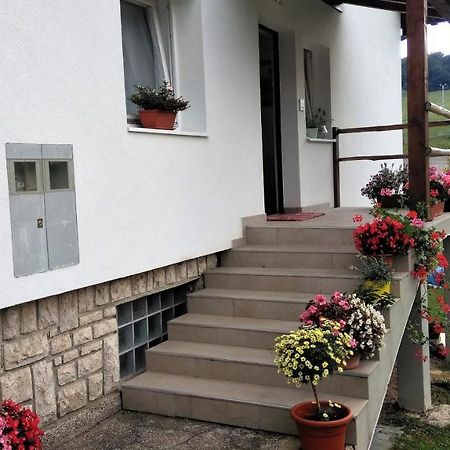 Plitvička Jezera Guesthouse Bor Plitvice Lakes מראה חיצוני תמונה